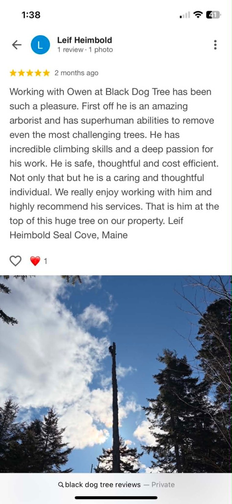 Five-star review from Leif Heimbold of Seal Cove, Maine, praising Owen's climbing skills and safe, thoughtful tree removals, with a photo of Owen at the top of a tall tree.