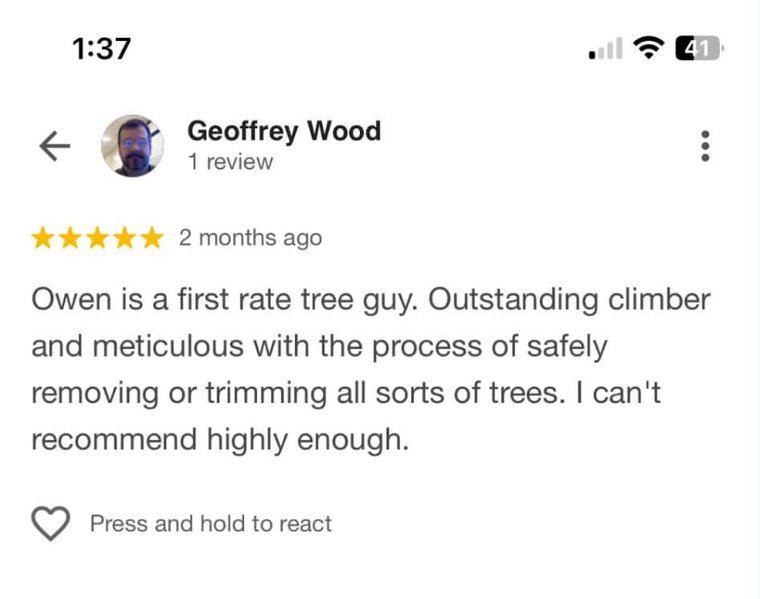 Five-star review from Geoffrey Wood calling Owen a first rate tree guy, an outstanding climber, and meticulous about safely removing and trimming trees.