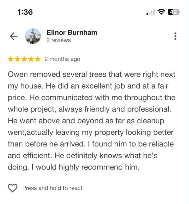 Five-star review from Elinor Burnham about Owen removing several trees next to her house at a fair price, with excellent communication and cleanup.